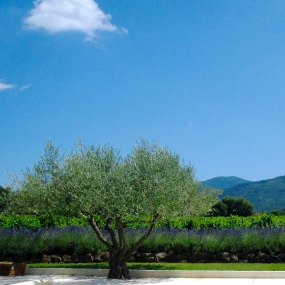 Meet your Posher, Camille - Picture 1 of 2